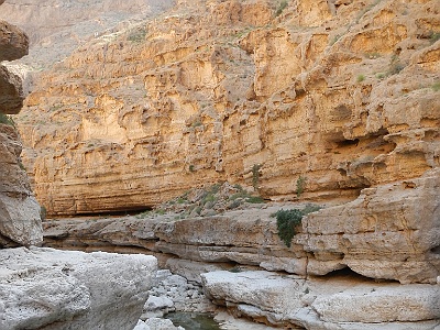 109 Oasis wadi shab